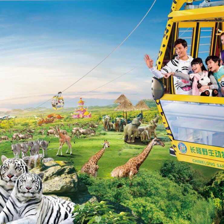 The Ultimate Chimelong Safari Park Strategy: An Exclusive Guide for Grandee Hotel Guests