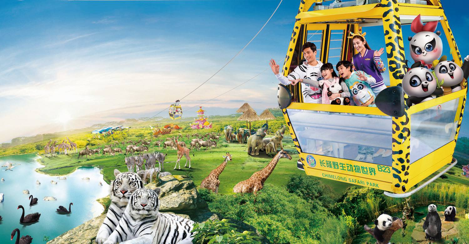 The Ultimate Chimelong Safari Park Strategy: An Exclusive Guide for Grandee Hotel Guests